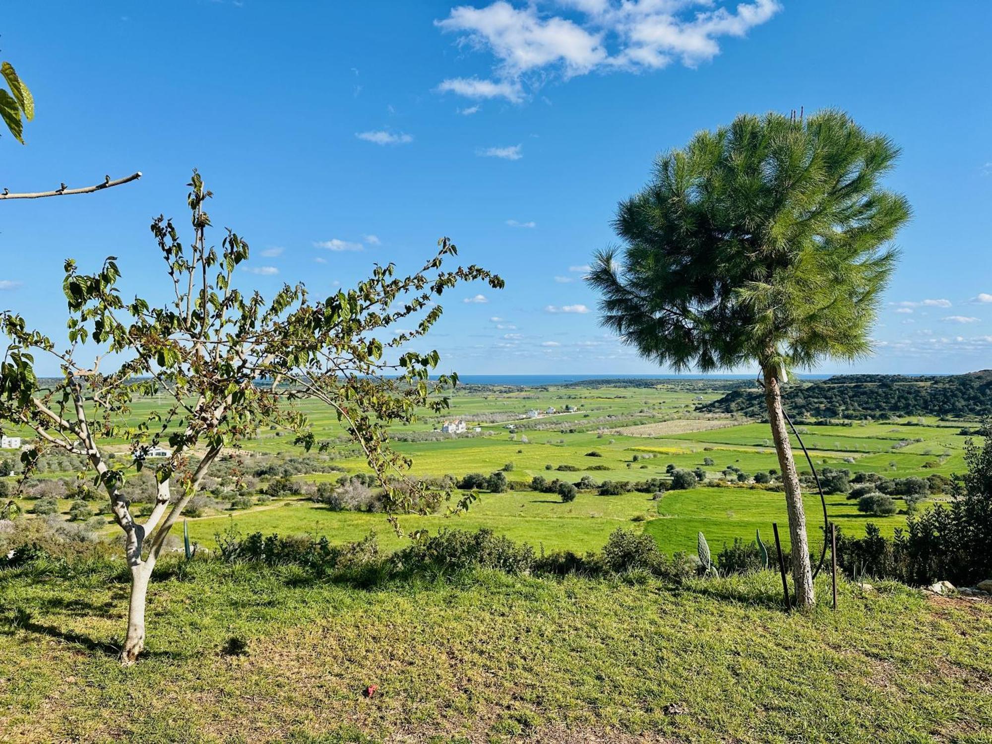 Celebi Garden Hotel - Cittaslow Retreat Famagusta  Exterior photo